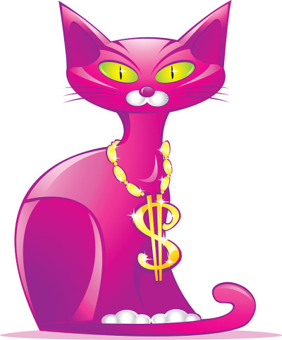 美丽的猫