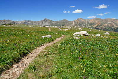 在科罗拉多州的落基山脉徒步旅行