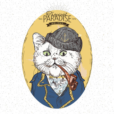 图中的海盗猫a在蓝色的背景矢量