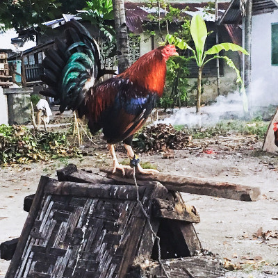 更多的旅行