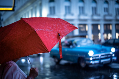 雨伞，一个下雨的下午