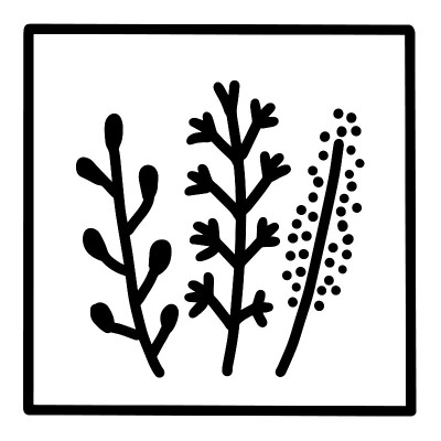 手绘草本矢量图标涂鸦标志在卡通风格的黑白对比
