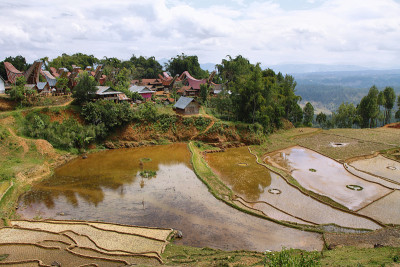Limbong村
