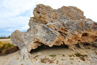 Rottnest岛,澳大利亚