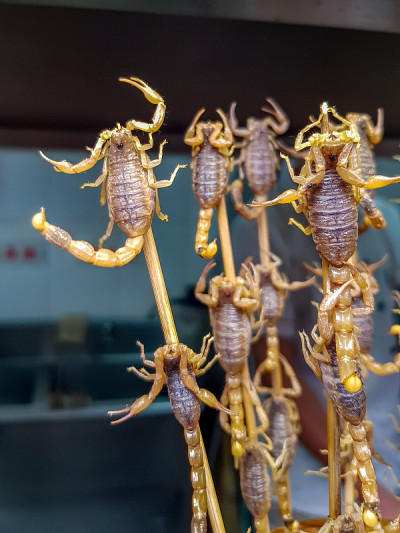 中国北京的蝎子棒