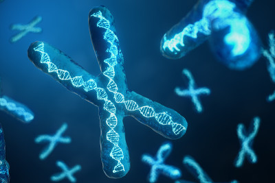 3D插图x染色体与携带遗传密码的DNA。遗传学概念，医学概念。未来,基因突变。在生物层面改变遗传密码