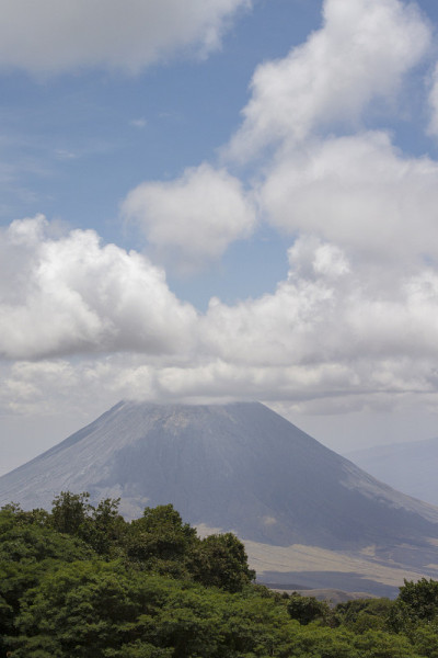 树后的火山