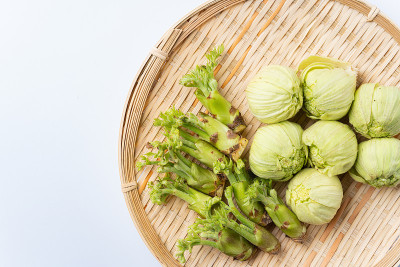可食花芽，天南星的花芽