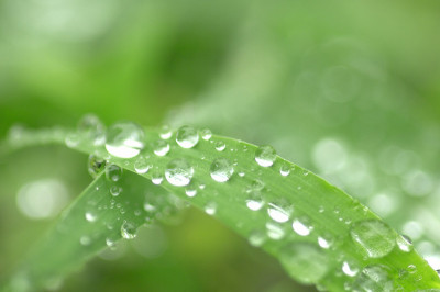 水滴