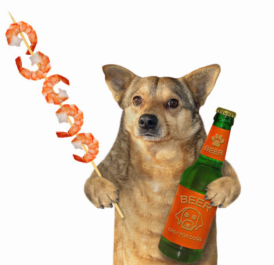 狗喜欢啤酒配虾