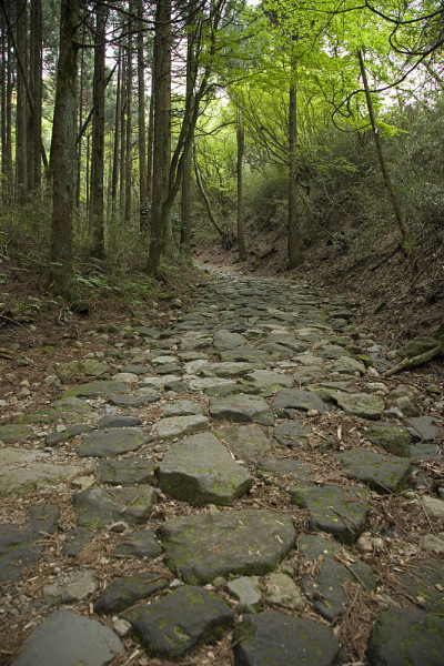 旧公路铺路面