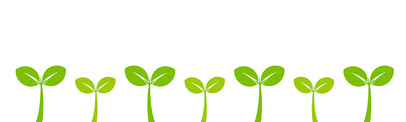Little green plants seedlings growing.