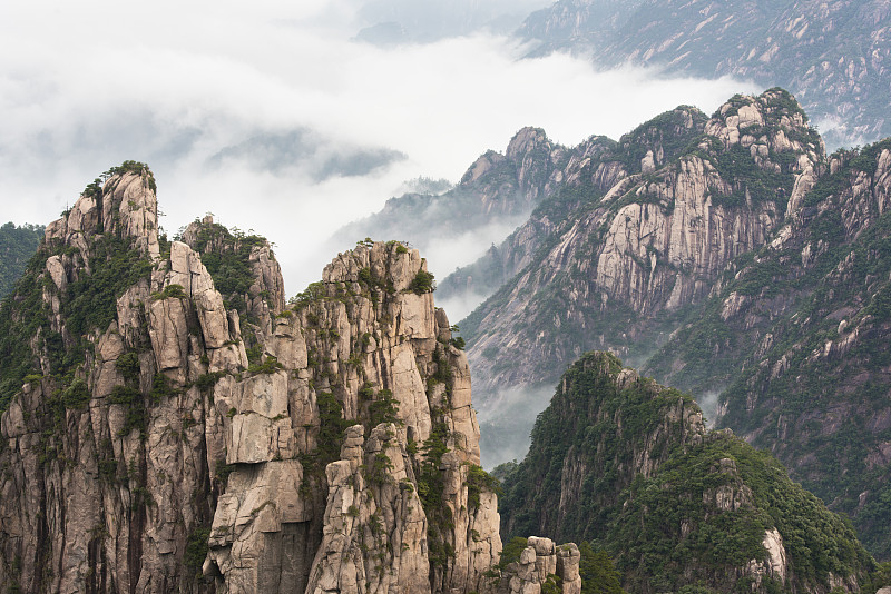 黄色的山