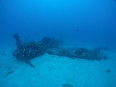 二战时日本海军的杰克水上飞机