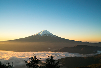 牵牛花富士山和云海，山梨，日本