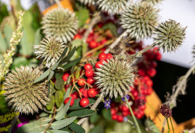 由鲜花、香草和水果组成的花束是夏季的象征