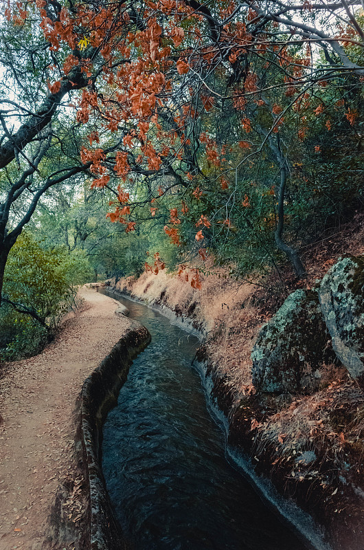 萨克拉门托河道发现一条人造河