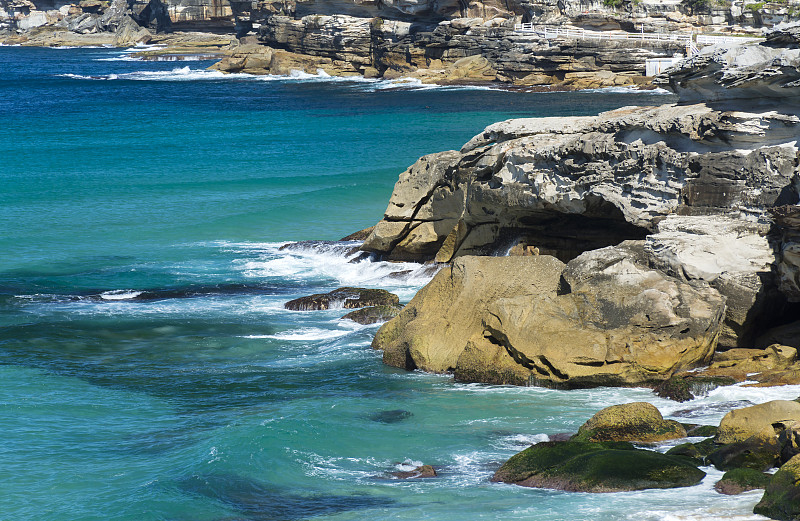 Tamarama