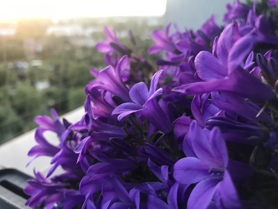 花