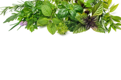 新鲜香草