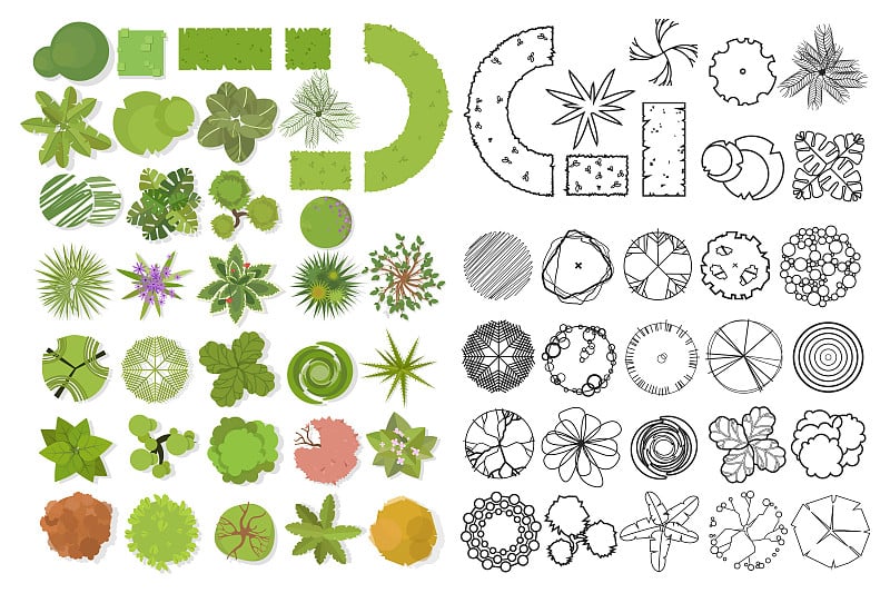 树视图。不同的树木、植物向量设置为建筑或景观设计。一套线性和彩色平面插图