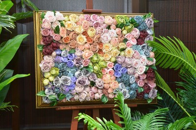 背景的玫瑰