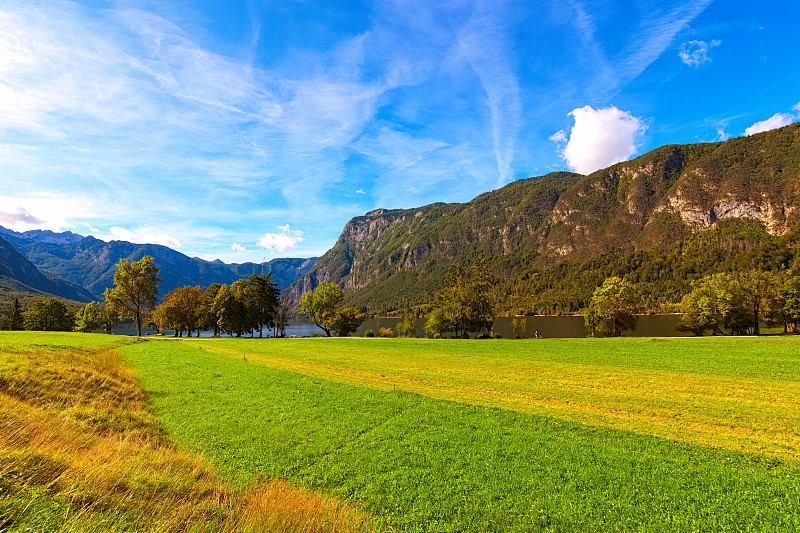 开阔的角度风景如画的草地附近的Bohinj湖(bohinsko jezero)与山脉在背景。美丽的晴