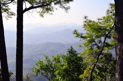 山