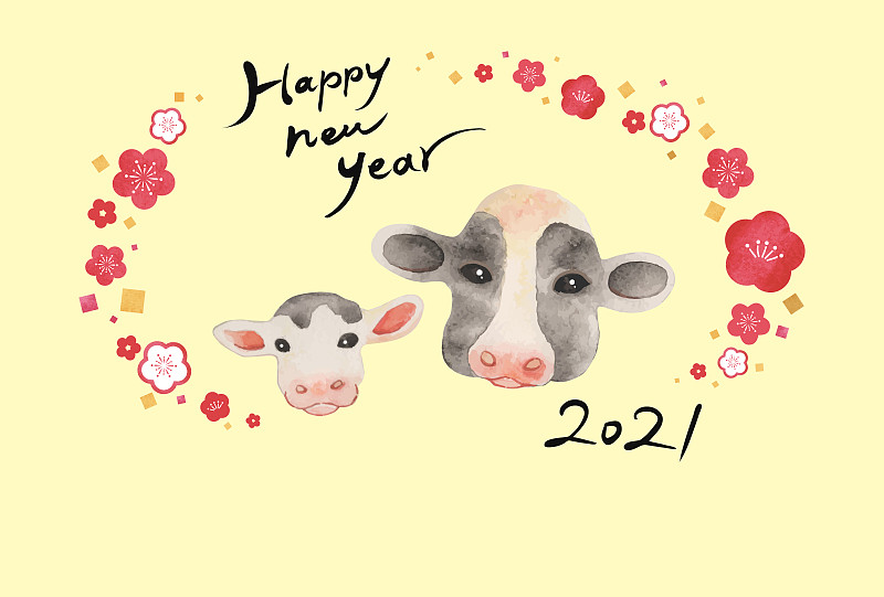 2021年的新年贺卡。牛父母和孩子，特写一张脸。水彩画。梅花。黄色背景(带有新年祝福语。底部有一个空