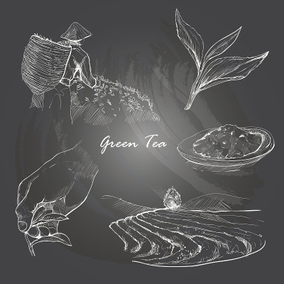 手绘草图矢量茶具在黑板上。