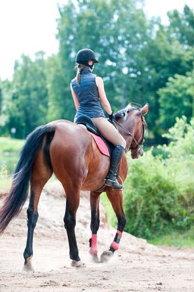 一位年轻女士在森林里骑马。培训过程