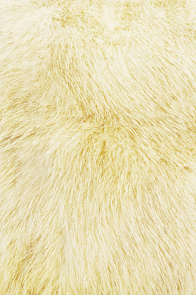 Yellowish-beige貂毛皮