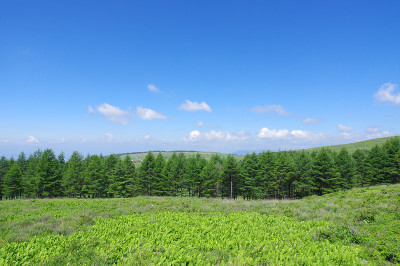 夏季的基利甘明高原