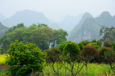 群山和乡村景色