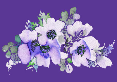 鲜花水彩插图