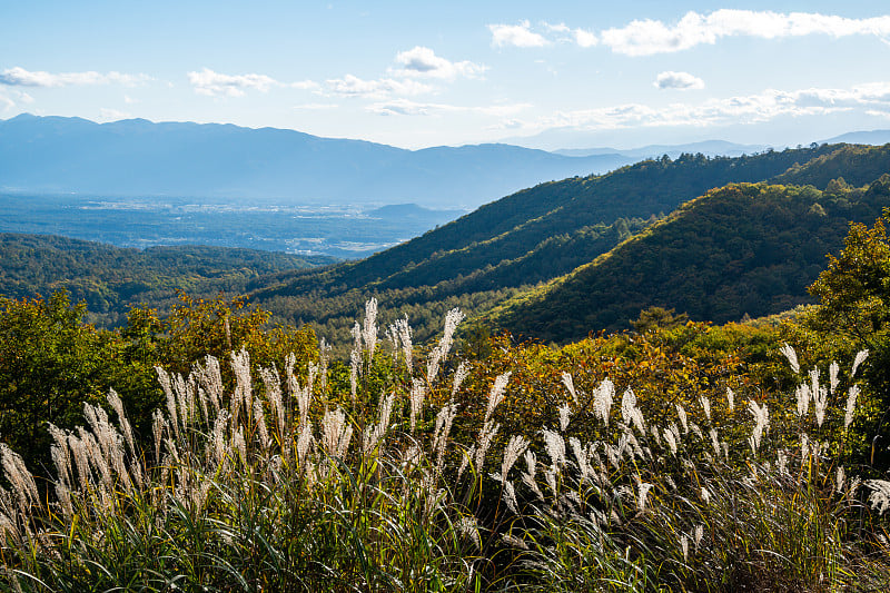 日本长野，Tateshinain秋天的景观