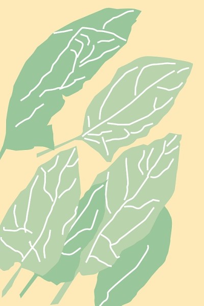 沙拉的插图