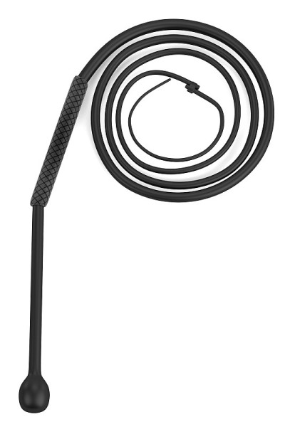 鞭子(工具)
