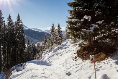 在阳光明媚的冬日里，美丽的雪景在瑞士达沃斯