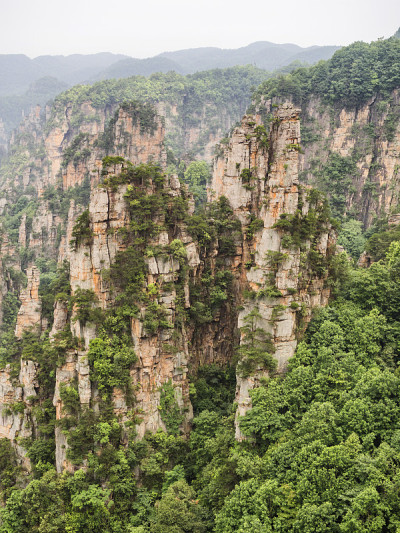 中国湖南张家界国家森林公园武陵源风景区天子山柱岩溶