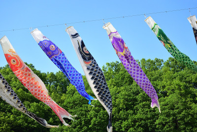 鲤鱼在天，日本事件