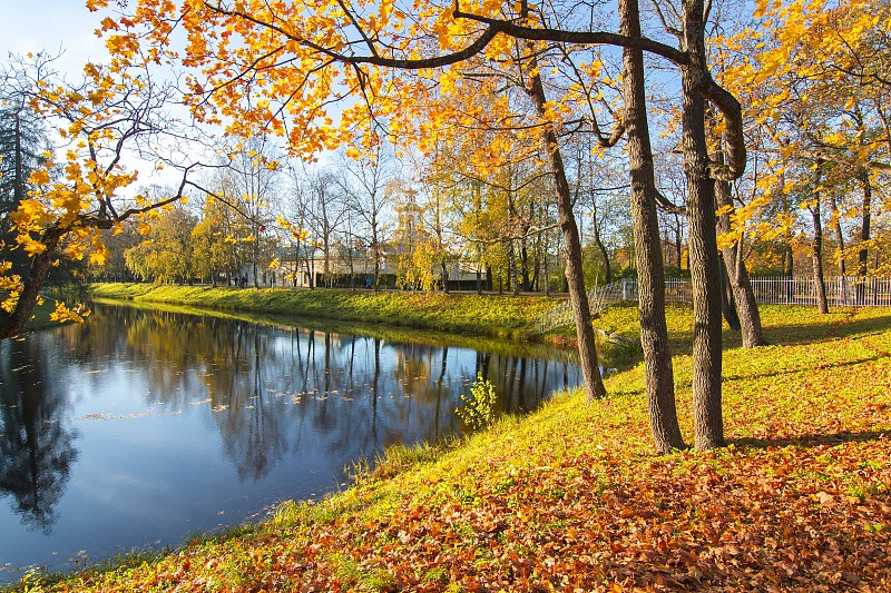 金秋凯瑟琳公园，Tsarskoe Selo(普希金)，圣彼得堡，俄罗斯