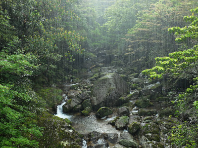 雨