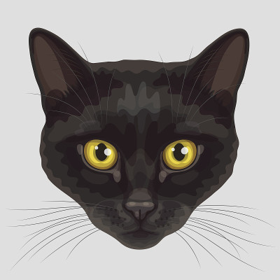 画的黑猫口