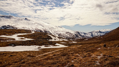 格陵兰岛北极圈小径苔原上雪山景观。