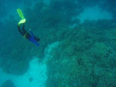 环礁的边缘和沙天堂在Truk泻湖，Chuuk