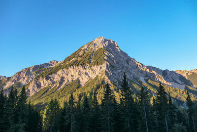 米塔斯格尔-第一束阳光到达米塔斯格尔山顶在奥地利阿尔卑斯山。这座高山上长满了茂密的森林