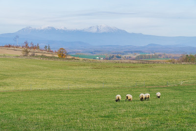 秋天，日本北海道