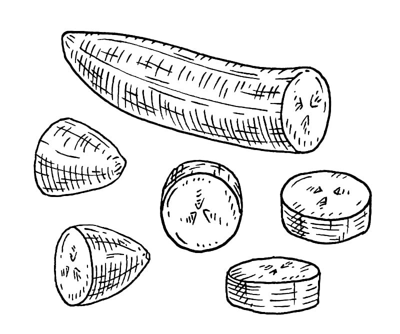 新鲜剥皮的香蕉片。复古矢量雕刻黑色