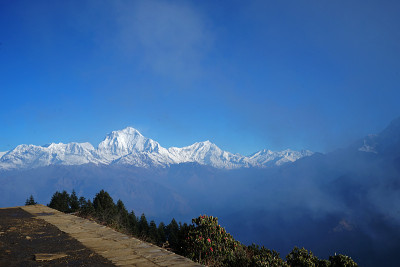 雪山的ghrepani Poon山和彩色的payer旗帜，喜马拉雅山脉Annapurna